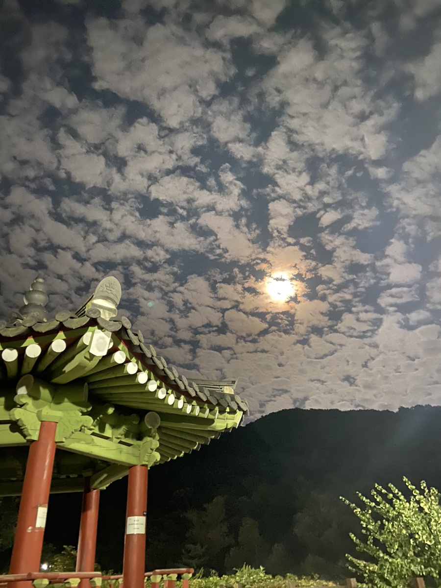 사기막골의하루 이미지