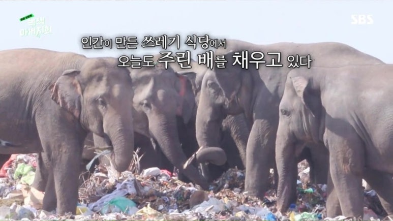 카페옆집 이미지