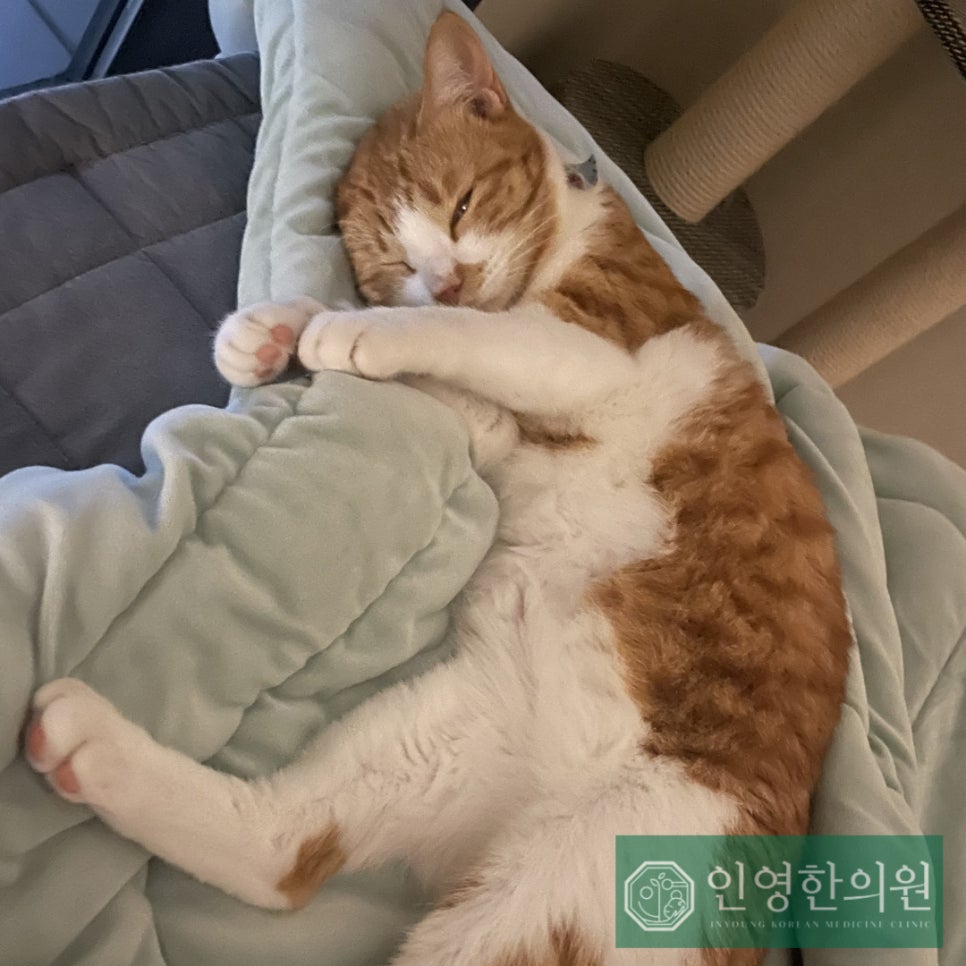 인영한의원 이미지