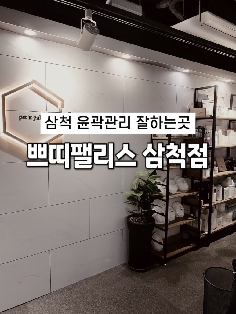 쁘띠팰리스(삼척점) 이미지
