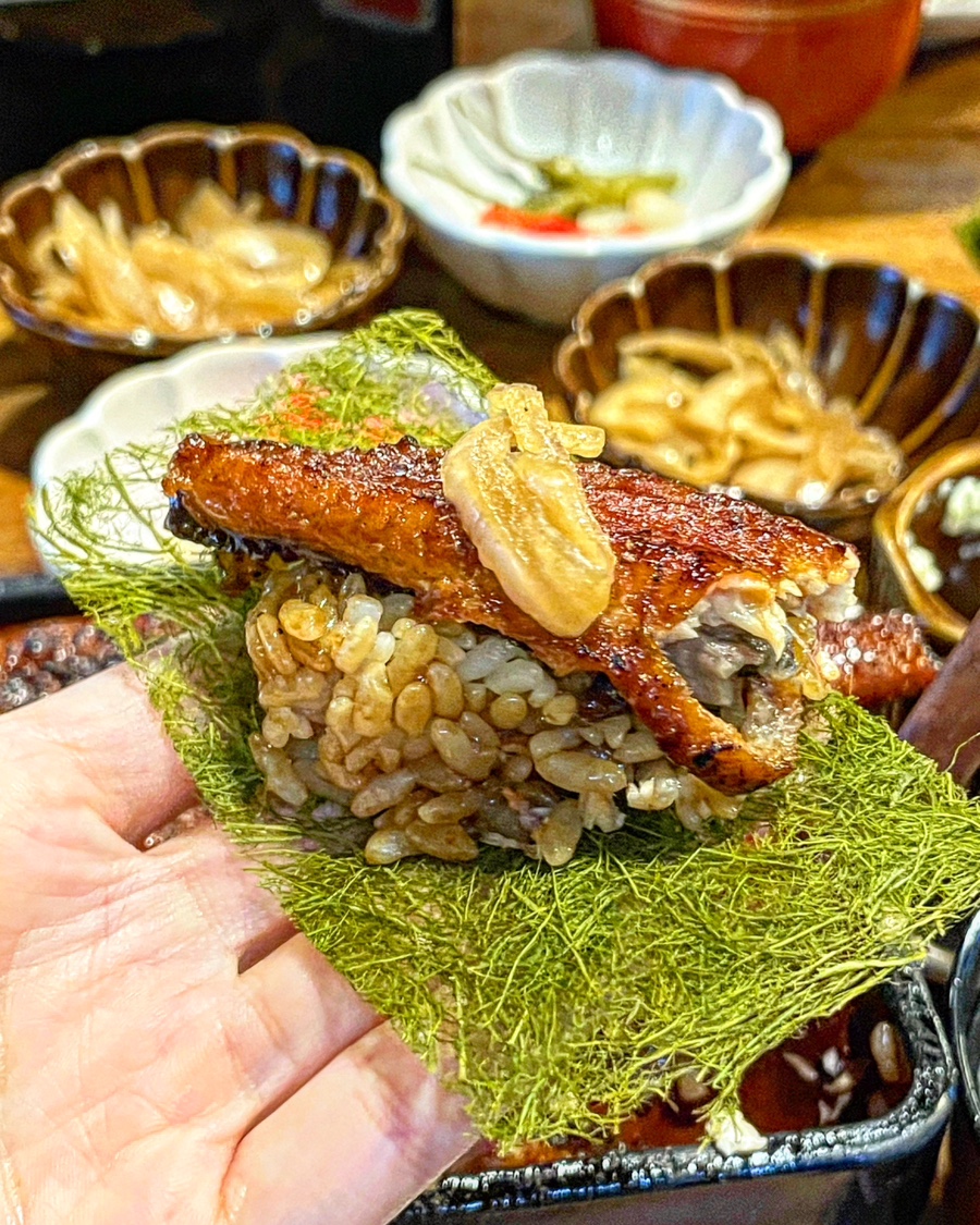 현대장어 이미지