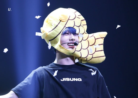 붕빵 이미지