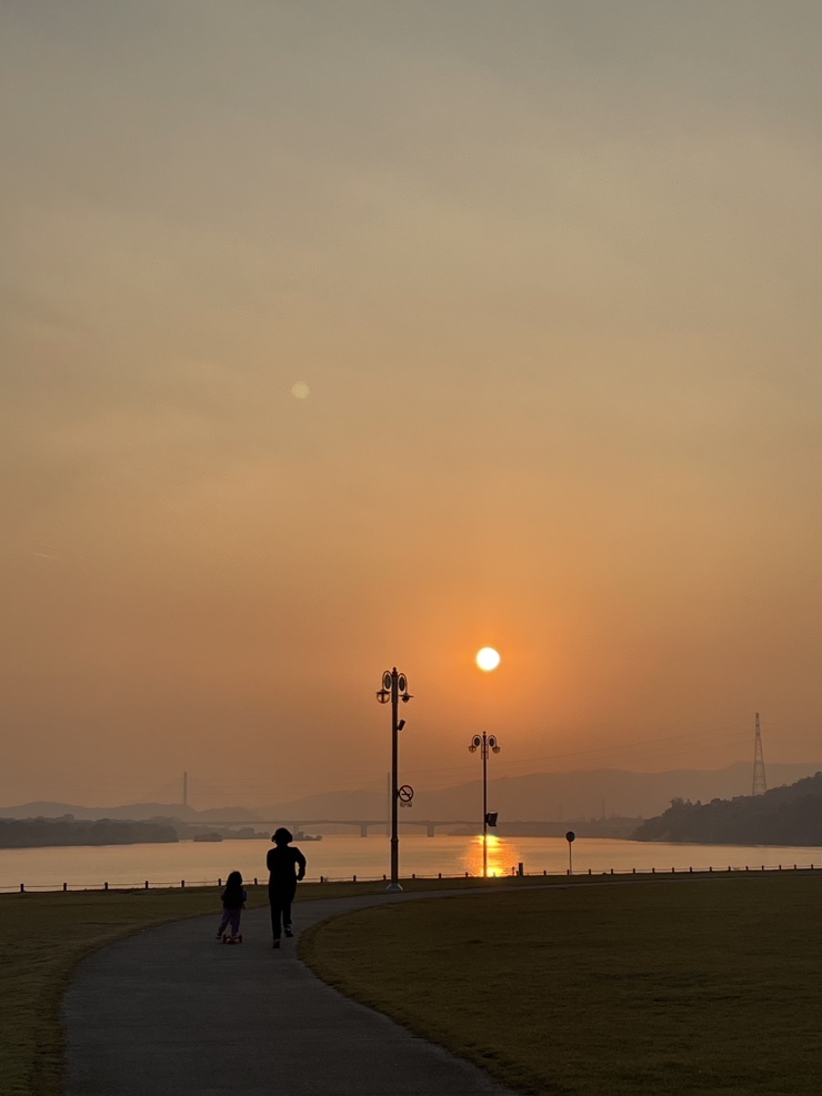 젤라떼리아빤나 이미지