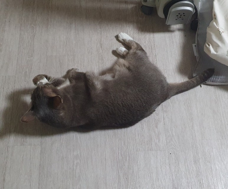 슬루디 이미지