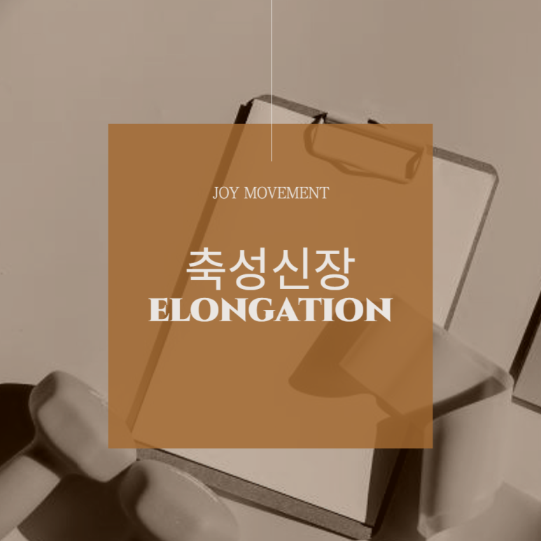 조이무브먼트 이미지