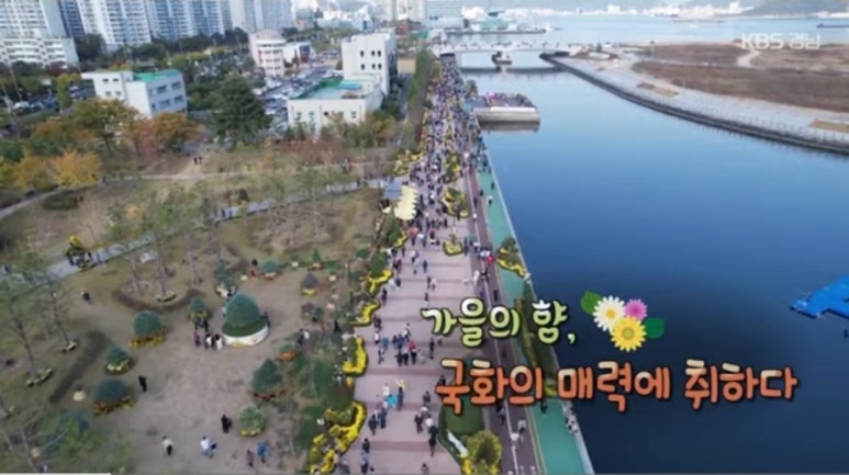 분부골 순금이네 국화된장 이미지