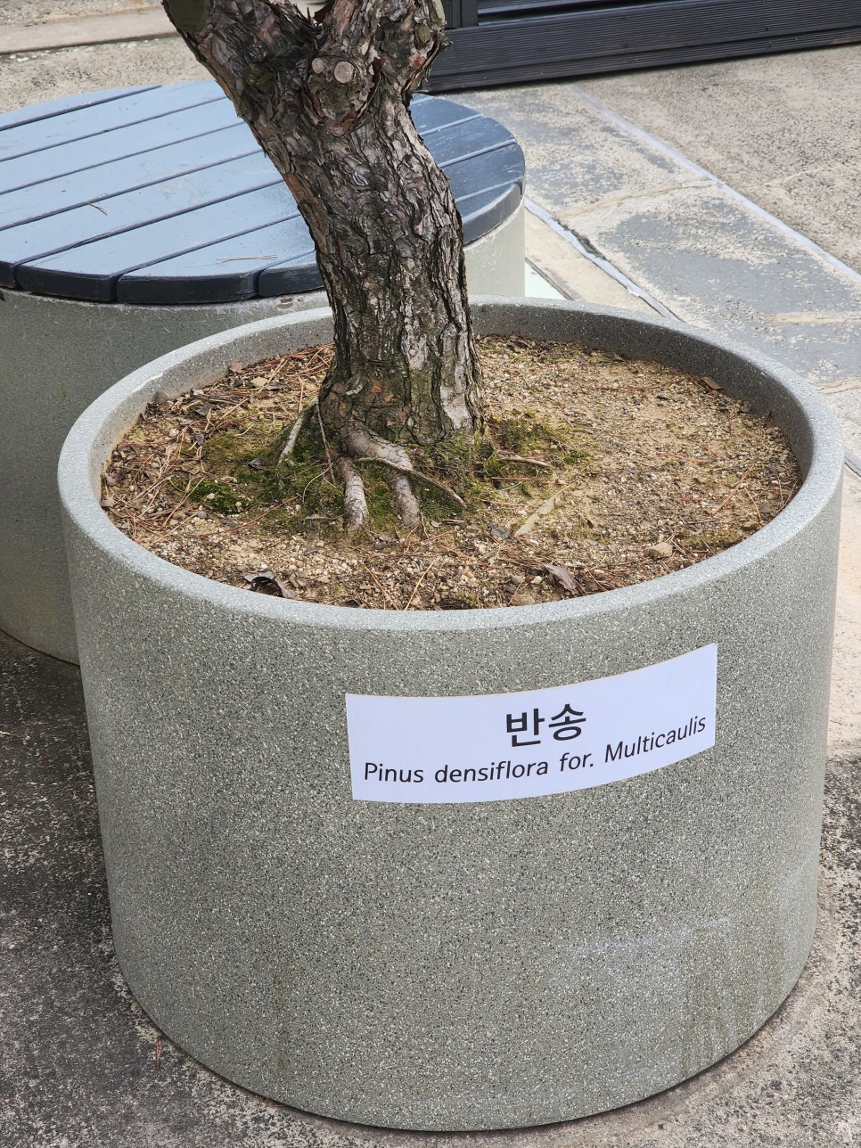 찬정원 이미지
