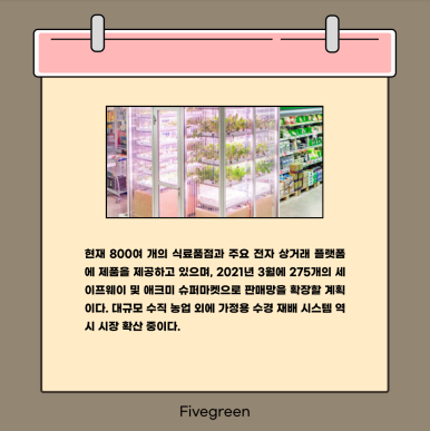 그린파이브 이미지