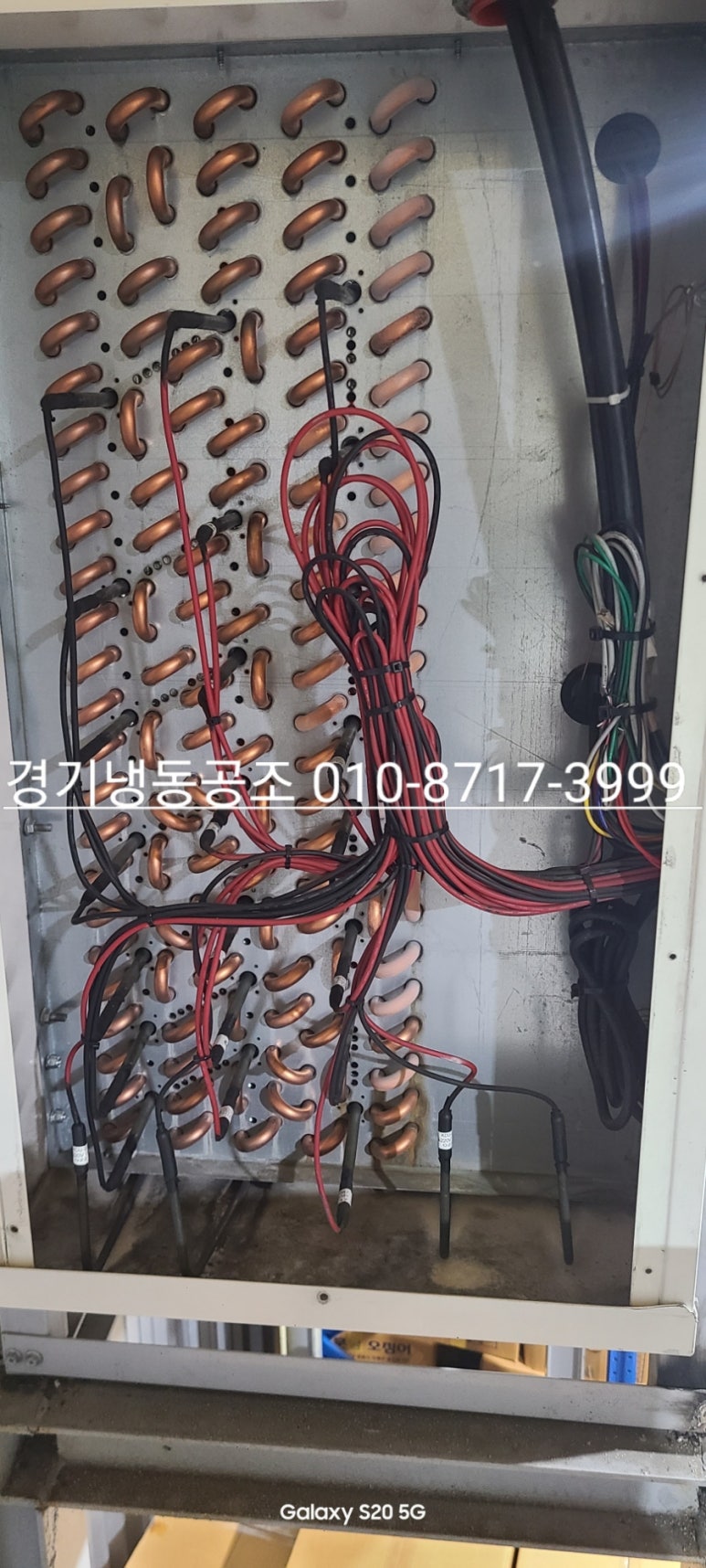 여주경기냉동 이미지