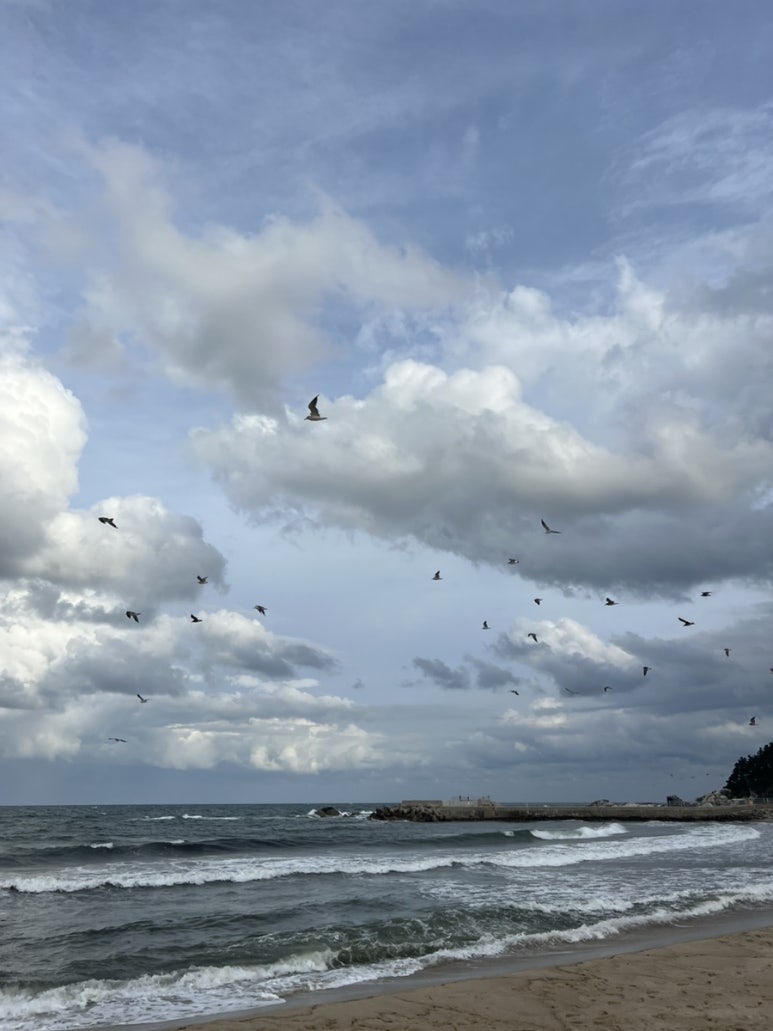 이음수산 이미지