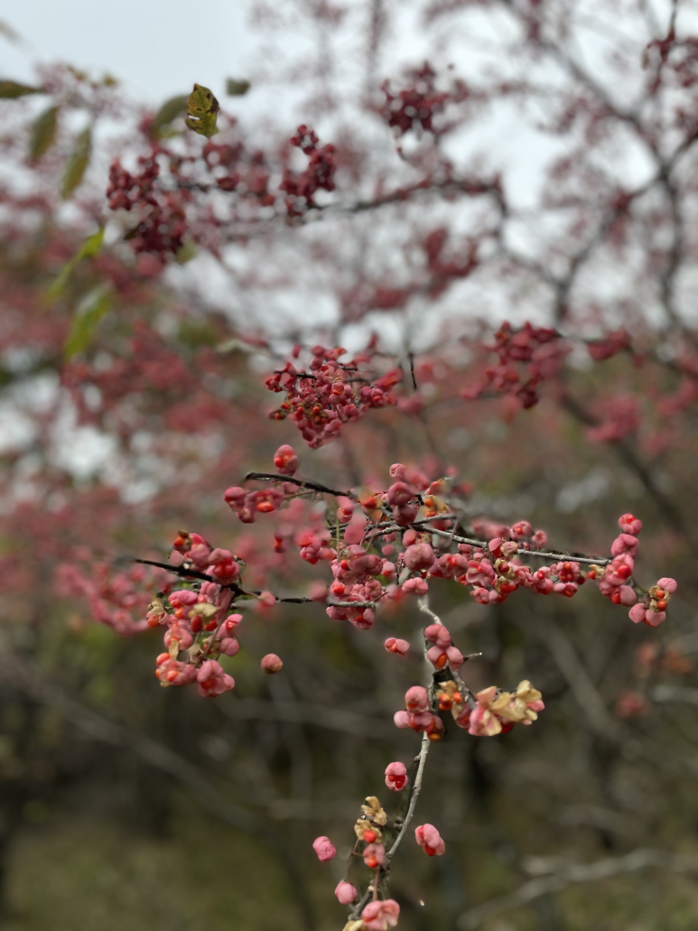 단양충전소 이미지