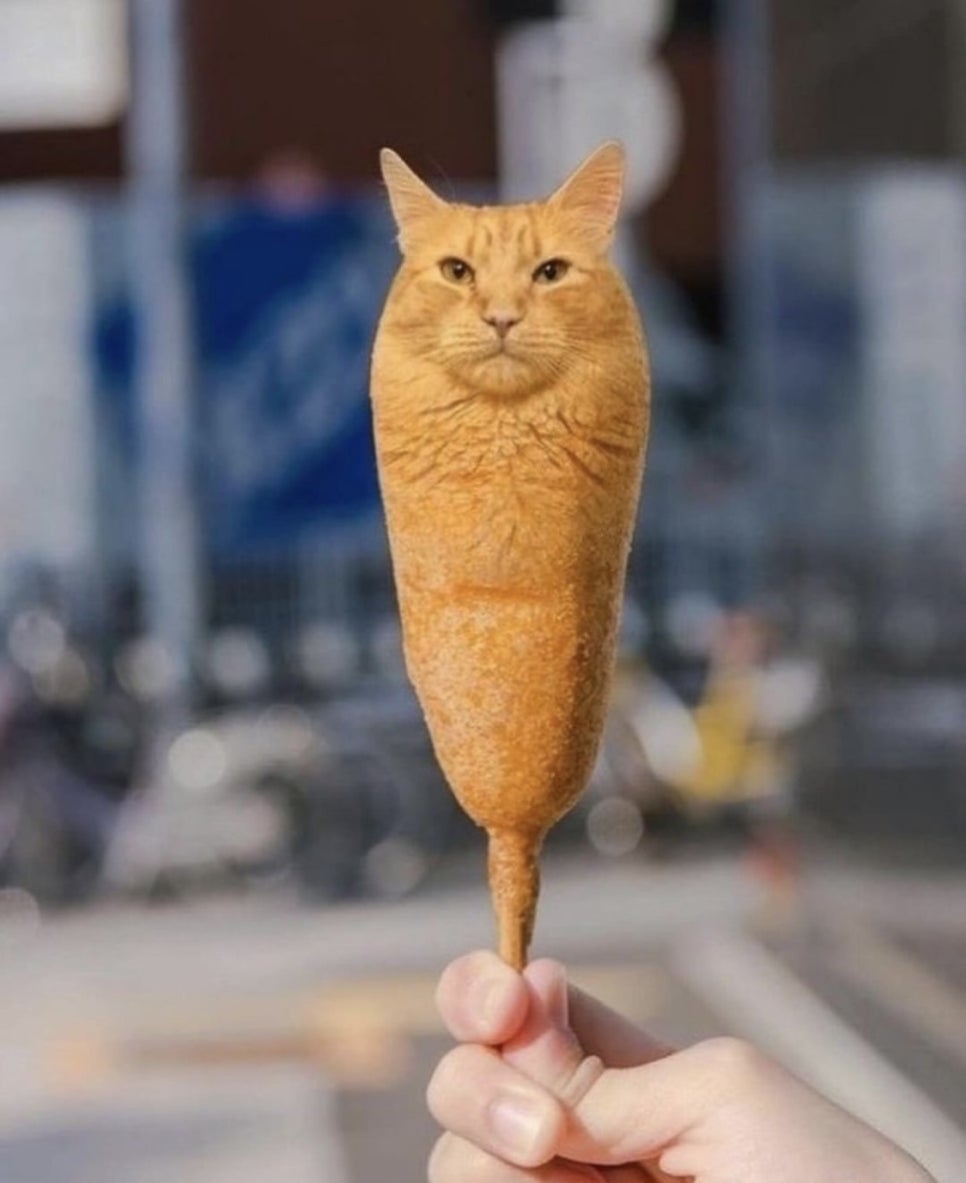 김지 이미지