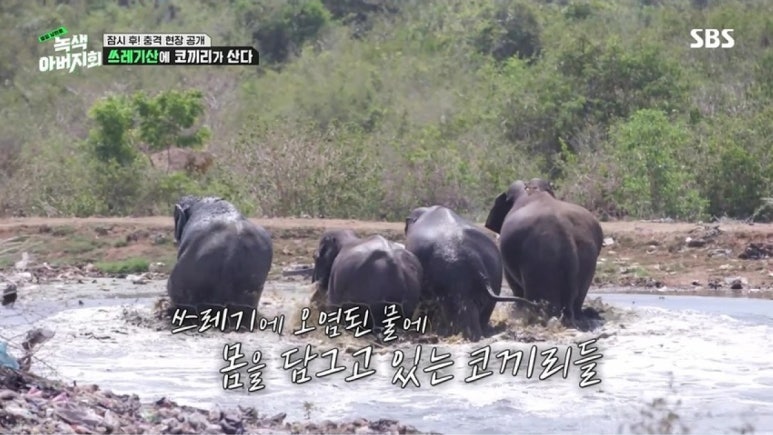 카페옆집 이미지