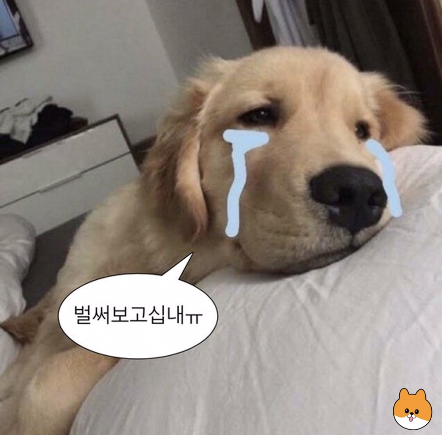 수현헤어 이미지