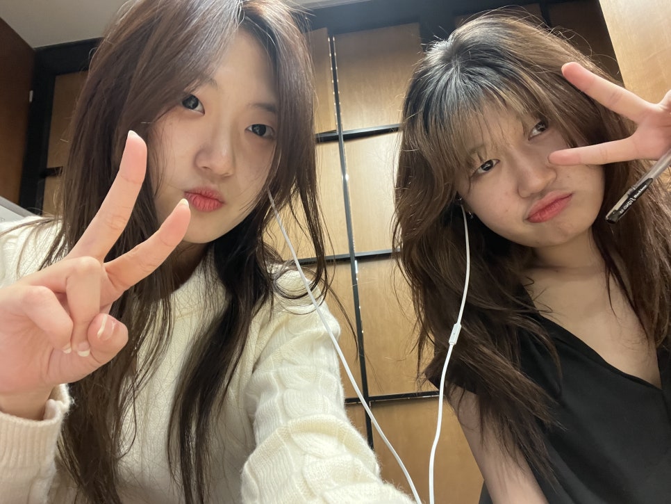 볼볼티 이미지