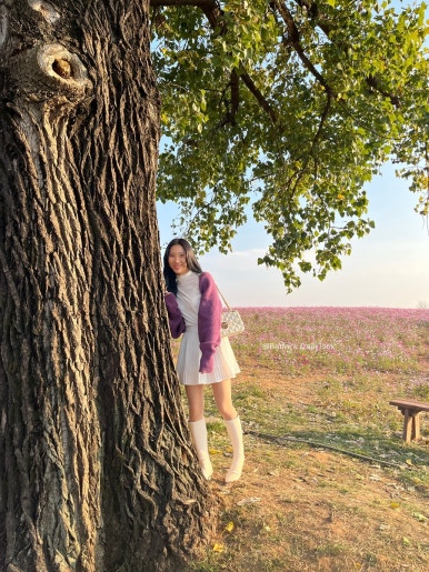 엠티콜렉션주 이미지