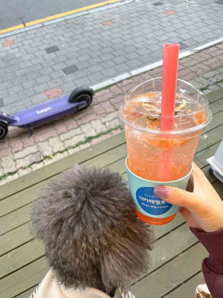 더카페멜로워 이미지