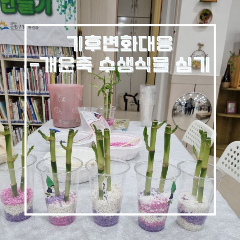 네마지기 이미지