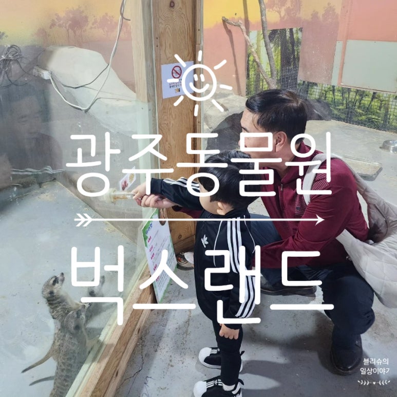 슈슈패밀리 이미지