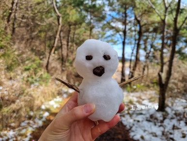 오일장형제 이미지