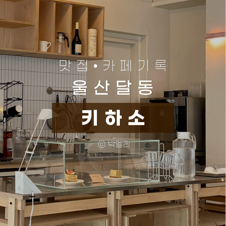 키하소KIHASO 이미지