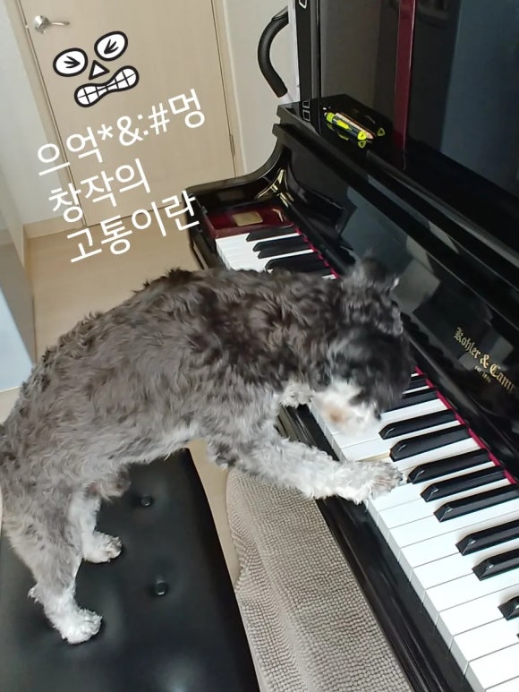세종피아노음악교습소 이미지