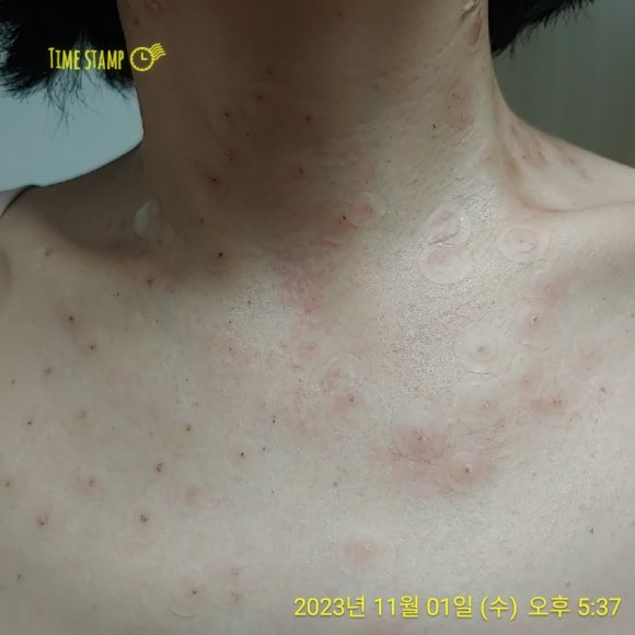 바로그의원경주점 이미지