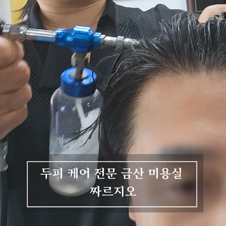 짜르지오 이미지