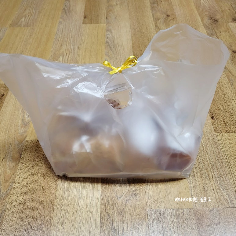 찐수니네 이미지
