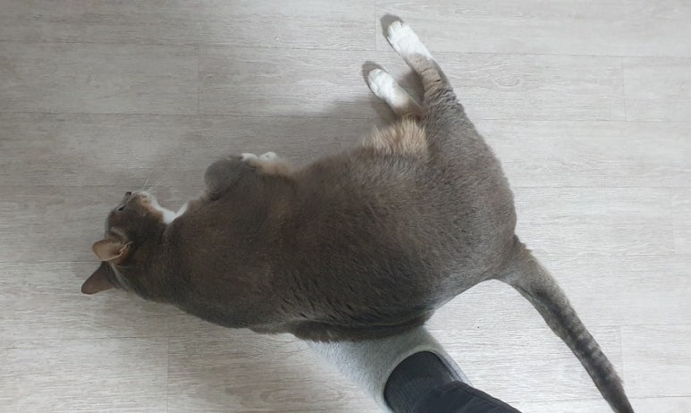 슬루디 이미지