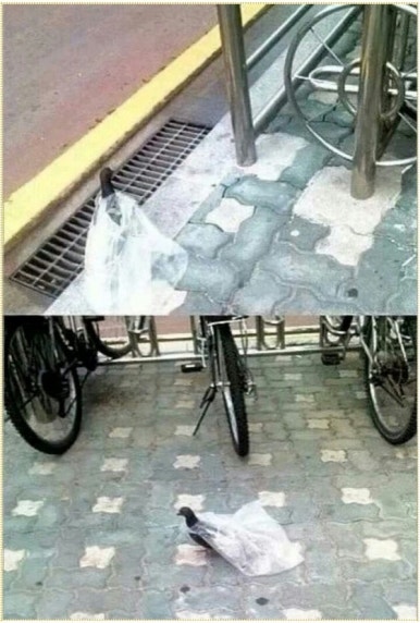 봉다리 이미지