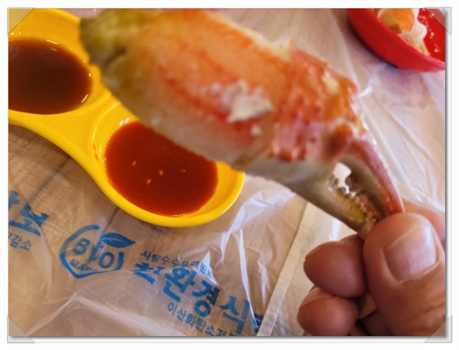 파티센타 이미지