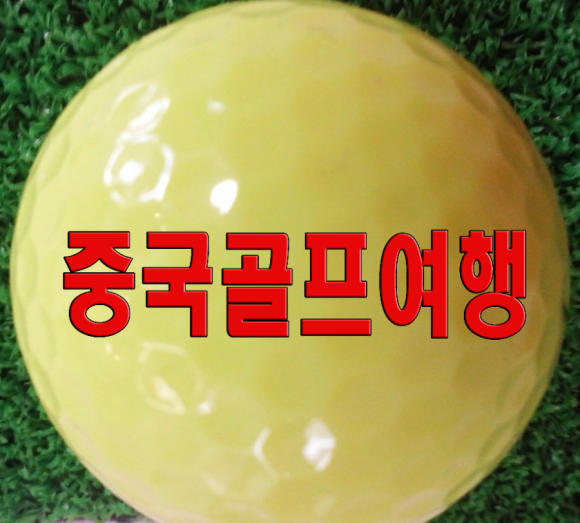 루비항공여행사 이미지