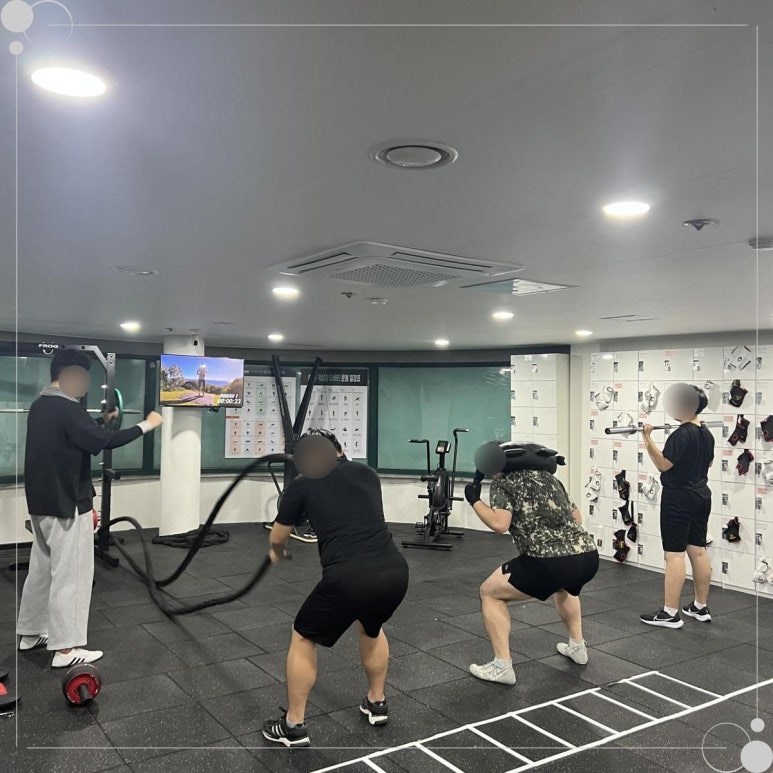 슈가복싱 이미지