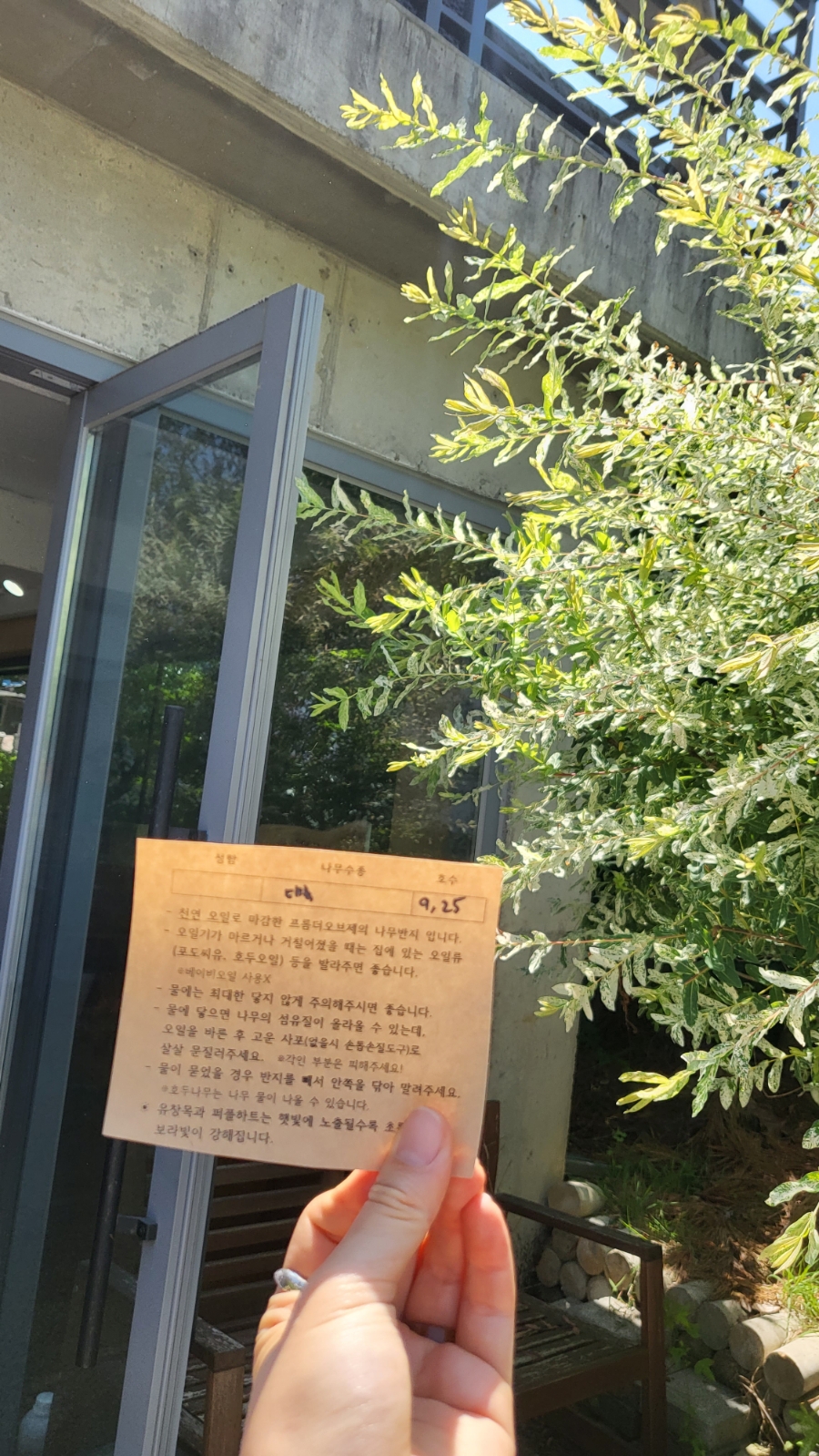 프롬더오브제 이미지