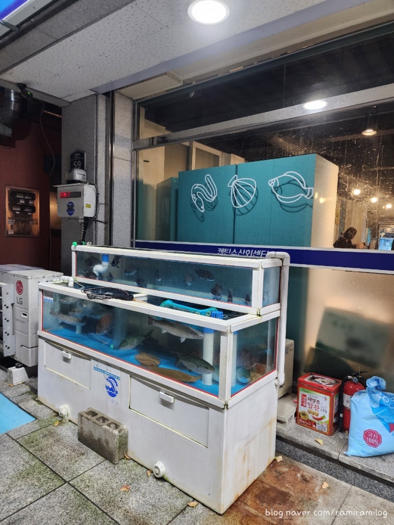 캡틴수산회센터 이미지