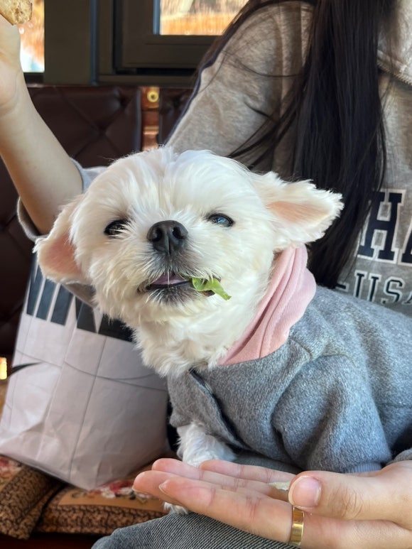 메콩카페 이미지
