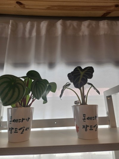 손그림공방 이미지