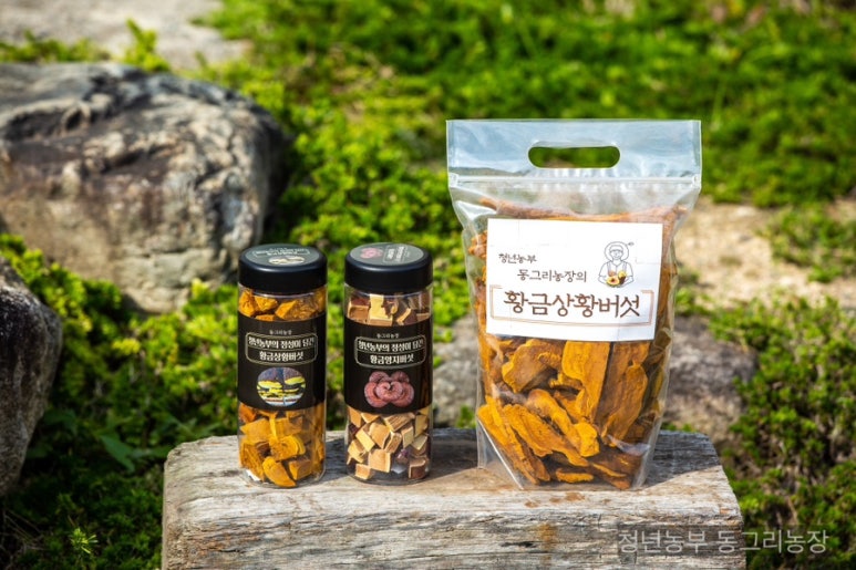 동그리농장 이미지