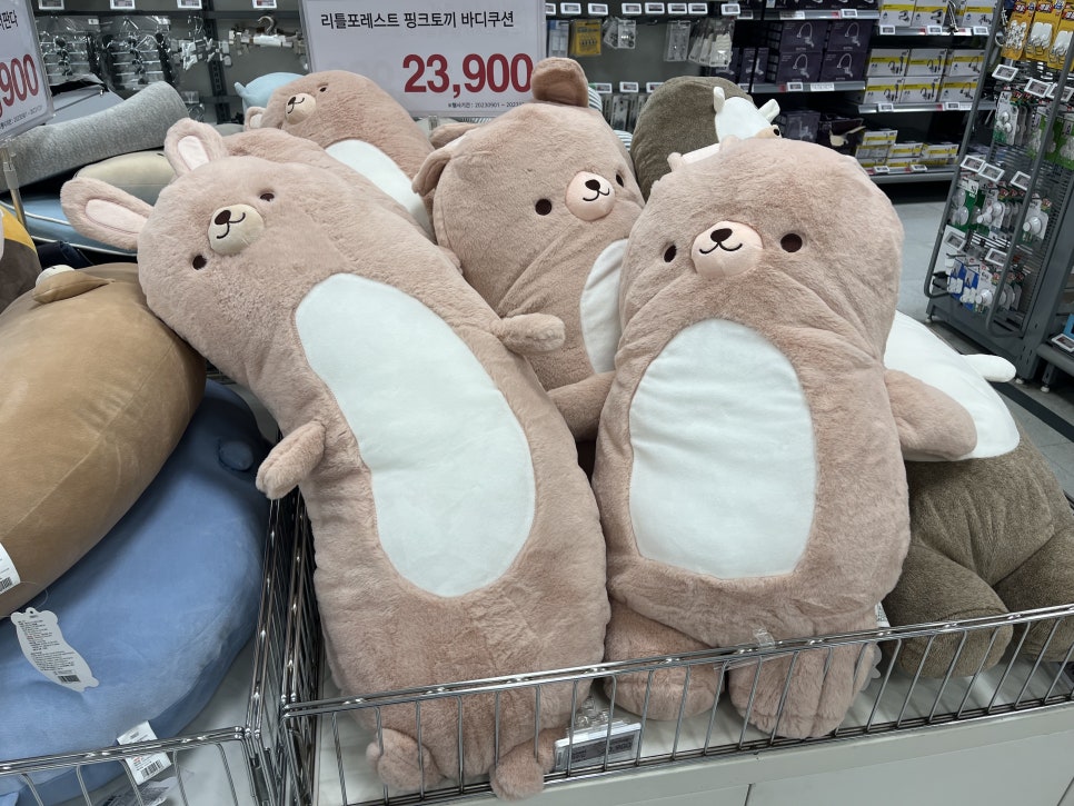 황고집돈돼지 이미지