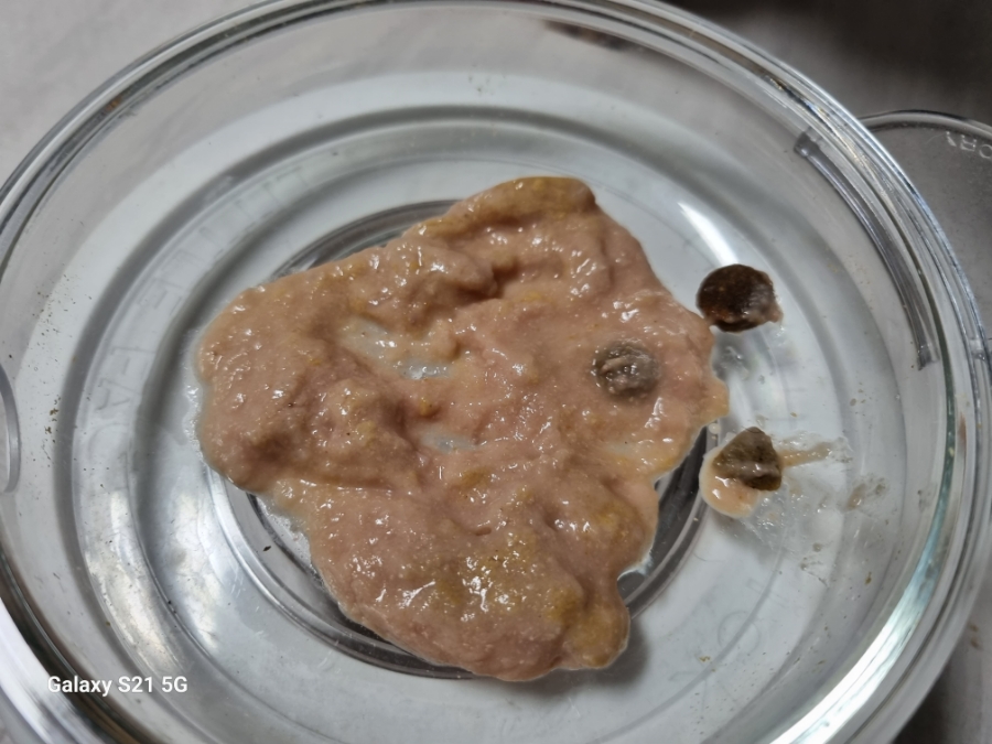 (주)인섹트바이오텍 이미지