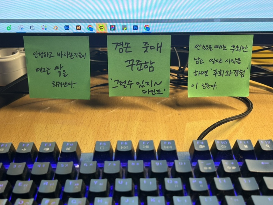 아라실 이미지