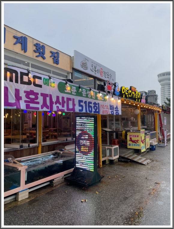 영덕에산다 이미지