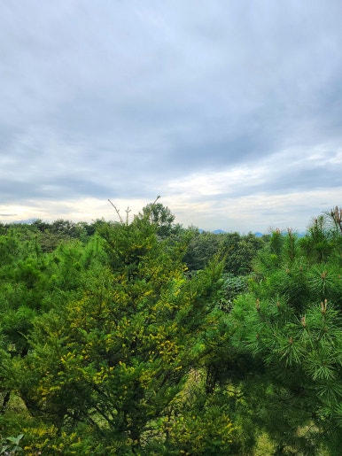 단양숲속의정원펜션 이미지