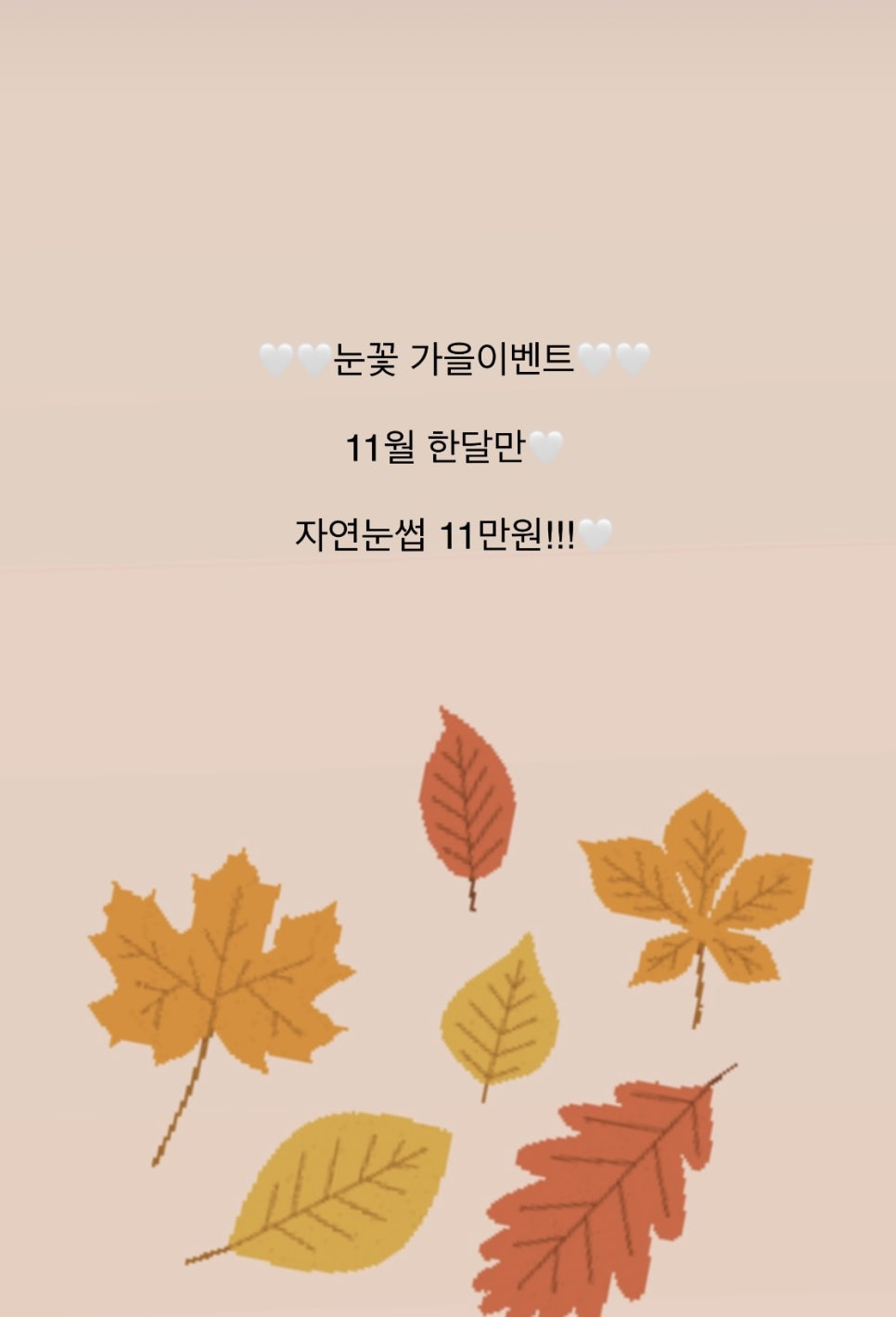 눈꽃피다,눈썹 이미지