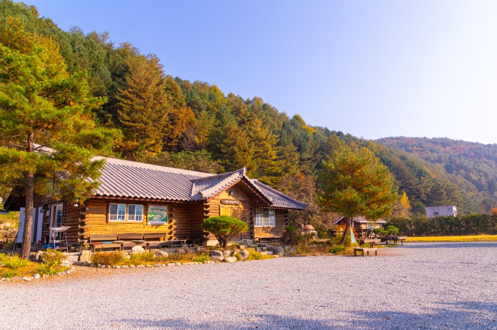 스테이구들 이미지