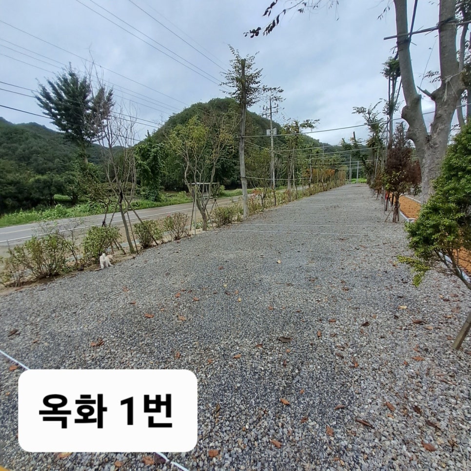 포시즌 캠핑장 이미지
