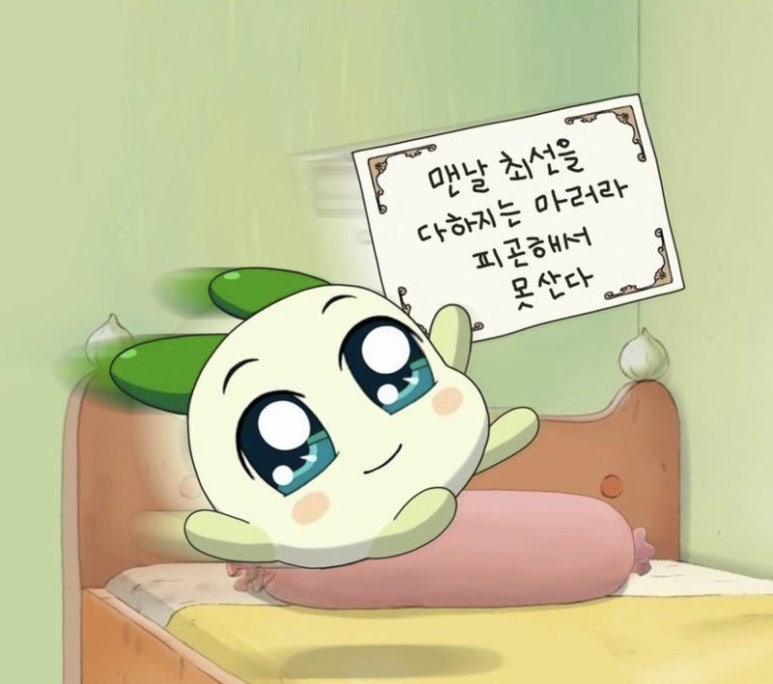 크로스핏라이크 이미지