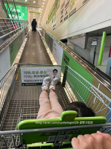 트레이더스 홀세일 클럽 구성점 이미지