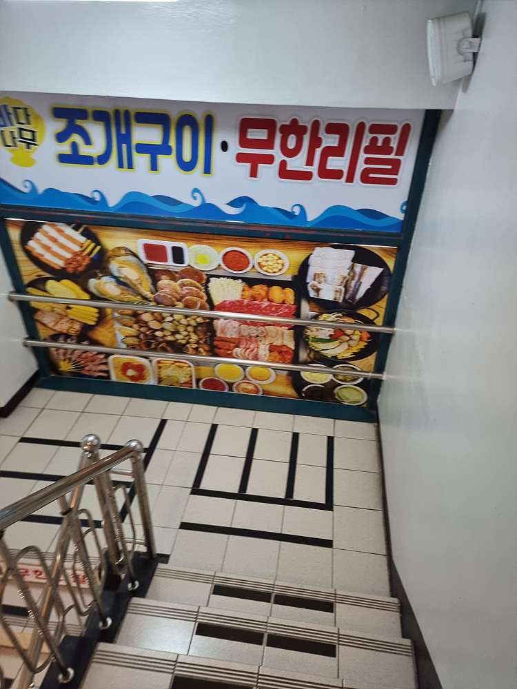 바다나무 이미지